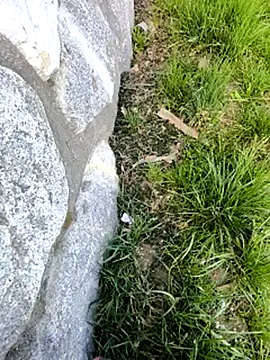 DrownMentallyyy online show from March 22, 12:35 pm