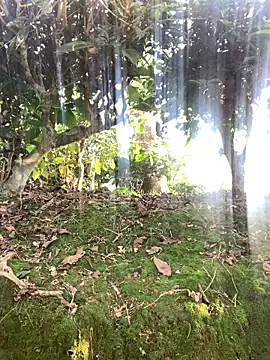 ShroveRising online show from October 19, 9:56 am