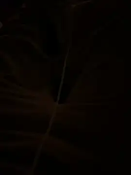 themasteer69 online show from January 17, 8:44 pm