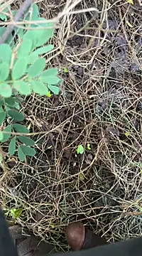 tamil000000 online show from March 18, 1:13 am