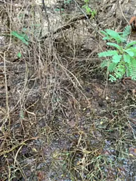 tamil000000 online show from March 14, 1:27 am