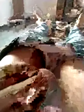 PracticalGum40 online show from March 3, 12:23 pm