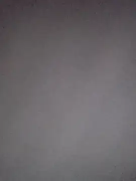 Paybackk100 online show from November 7, 1:36 pm