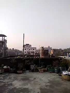 Jeetshine 1234 online show from December 12, 1:32 am