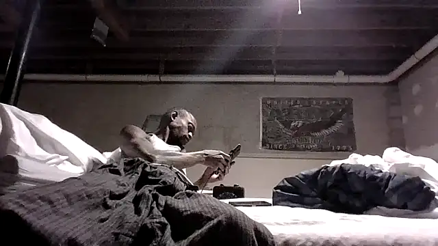 KinGKane84 online show from December 24, 6:44 am