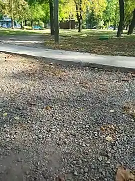 Snapshot of sanek1995sexx chatting on September 26, 12:47 pm sanek1995sexx online show from September 26, 12:47 pm