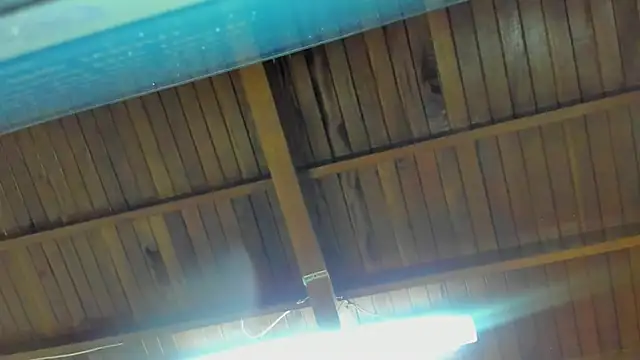 jeicob gagnon online show from September 15, 1:52 am