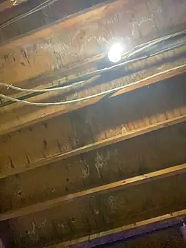 BbcYams online show from February 23, 9:17 am