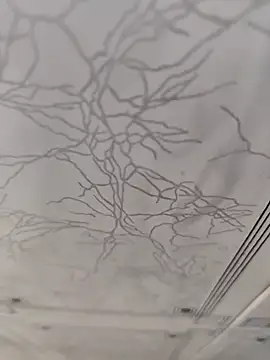 dreamers dick online show from January 2, 4:13 pm