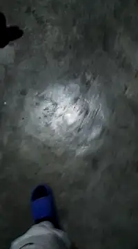 RODRI POLLADURA online show from January 6, 6:47 am