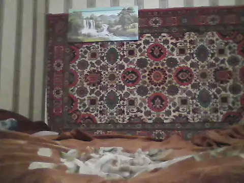 AlferezzSolvajo online show from October 19, 3:15 pm