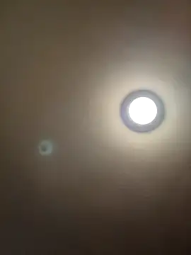 MrDaddyBbSnake online show from January 18, 2:40 am