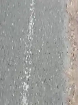 Jinenez online show from February 27, 10:20 pm