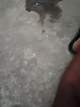 Raj41 online show from November 23, 11:32 am