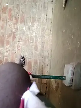 Raj41 online show from October 16, 8:00 am