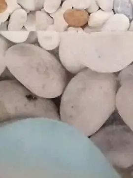 Snapshot of Playboy_bhabhi_00 chatting on February 27, 5:45 am Playboy bhabhi 00 online show from February 27, 5:45 am