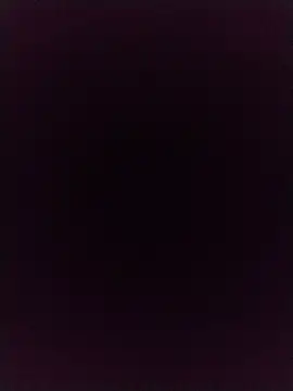 Singleboylucknow online show from July 8, 7:01 am