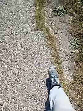 dominationmybigdick online show from October 8, 12:31 pm