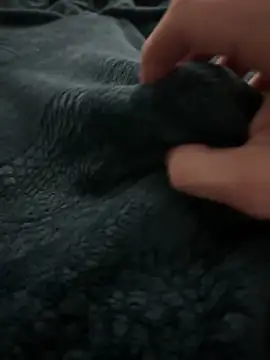 kishamis69 online show from February 13, 5:01 pm