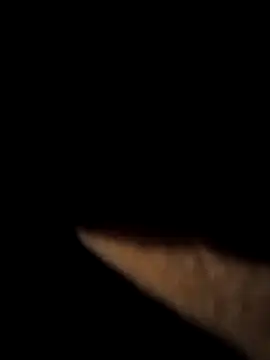 CriminalJunction6 online show from December 15, 1:02 am