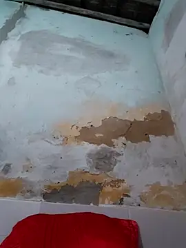 Snapshot of shuelldin chatting on October 29, 2:47 am shuelldin online show from October 29, 2:47 am