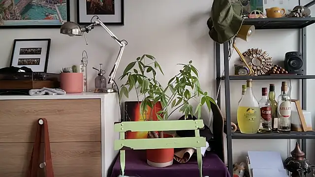 MikymikeBBWD online show from November 12, 11:49 am