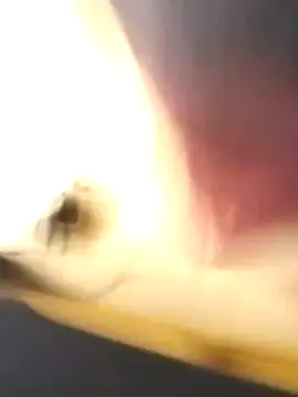 EmCyrex online show from March 26, 11:47 am