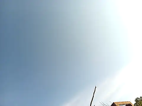 lilpip online show from November 27, 4:05 am