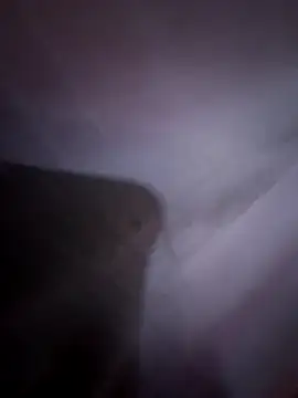 imre200270 online show from March 1, 7:31 am