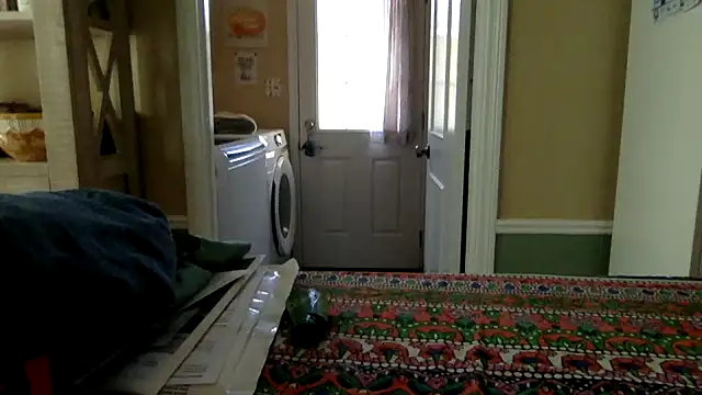 superbearboss online show from December 19, 3:09 pm