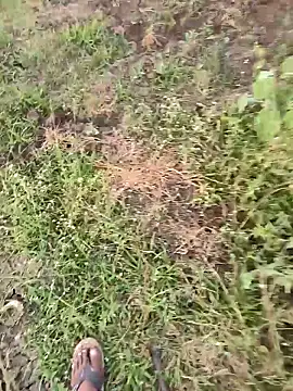 himvilohi08 online show from March 16, 1:15 pm