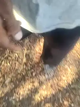 Treeskothik online show from March 16, 2:53 am