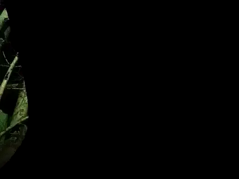 Snapshot of ConfidedAward chatting on September 13, 11:22 am ConfidedAward online show from September 13, 11:22 am