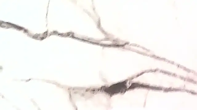 Jey8 online show from October 25, 3:47 pm