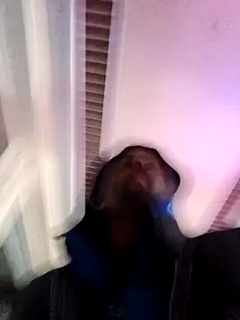 Bob black online show from March 5, 8:38 pm