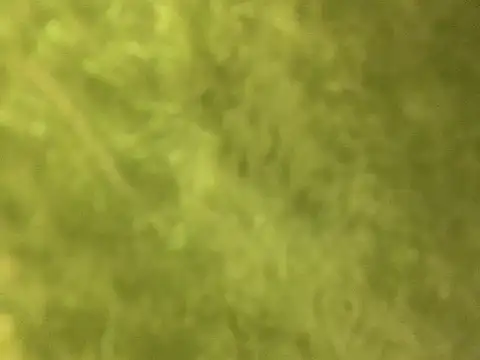 k 111 1 online show from January 14, 5:06 pm