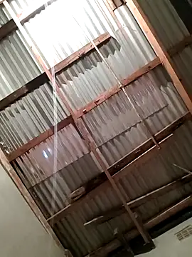 Snapshot of TPNUTS chatting on October 5, 3:38 pm TPNUTS online show from October 5, 3:38 pm