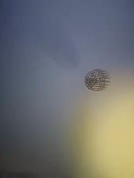 MagicNateBall1 online show from October 19, 11:41 pm