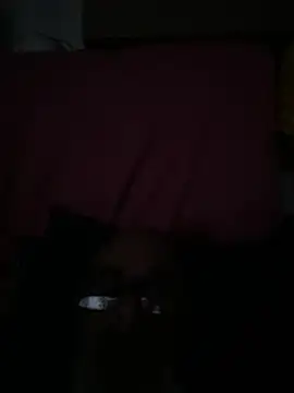 crisfootlicker online show from July 28, 9:25 pm
