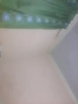 KingBonga online show from September 13, 2:12 am