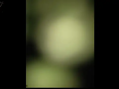 sobit1234 online show from October 18, 6:46 pm