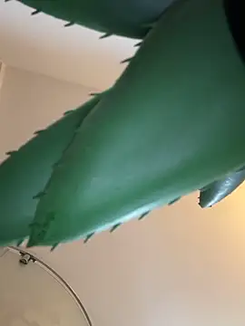 Michel huge online show from March 12, 7:38 am