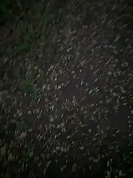 Sosisonchik online show from October 6, 4:11 pm