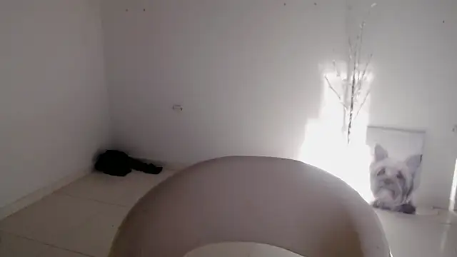 Snapshot of Stein_ chatting on September 24, 12:58 pm Stein  online show from September 24, 12:58 pm