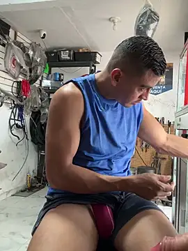 Terra-22cm online show from December 19, 3:20 pm