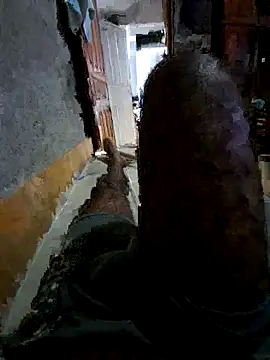 Negodabenga online show from December 18, 11:34 pm