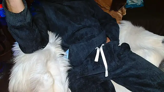 JUSTFORRICH online show from January 8, 11:21 pm