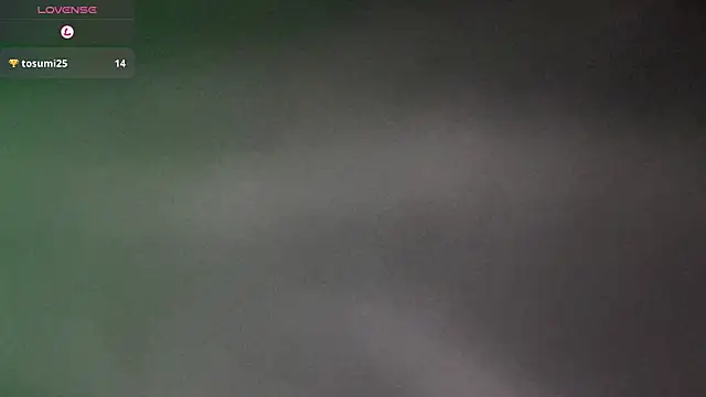 tosumi 2025 online show from September 21, 1:22 pm