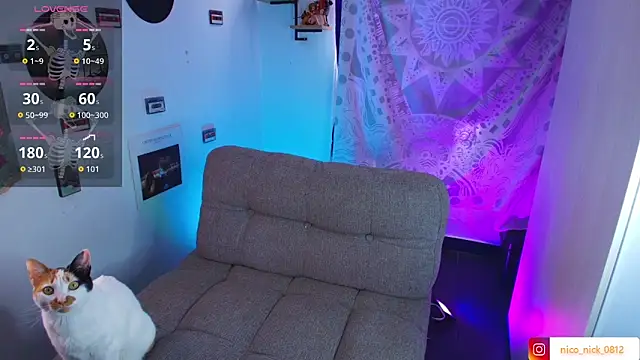 Nick Bangover  online show from November 30, 6:54 pm