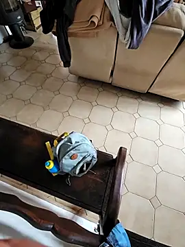 Stingles online show from October 4, 1:38 pm